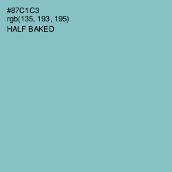 #87C1C3 - Half Baked Color Image